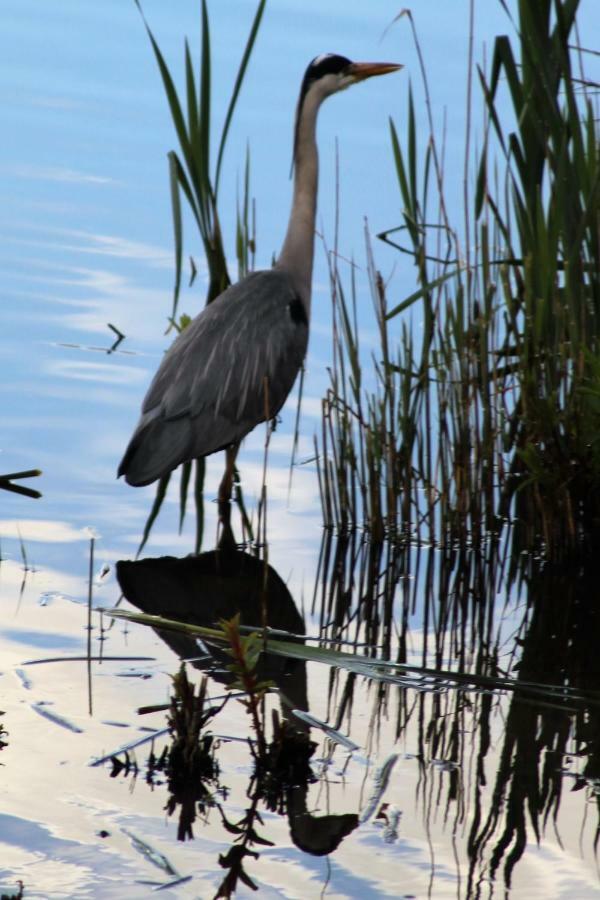 Marshlands Lakeside Nature Retreat Barton-upon-Humber Esterno foto